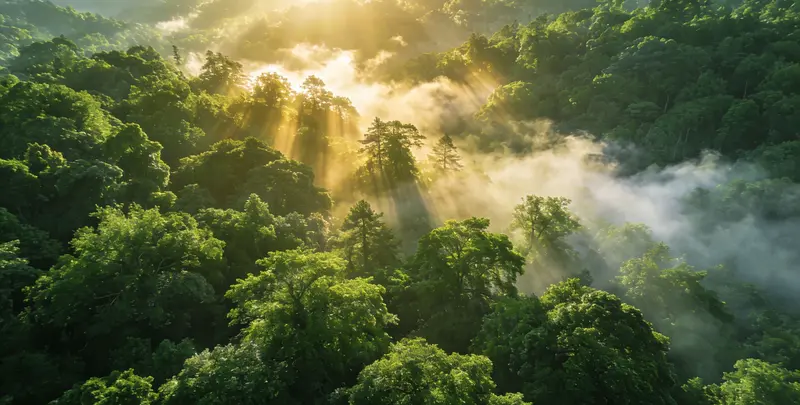 双鸭山肺癌靶向39基因检测及PDL122C3表达检测套餐（组织）图片1