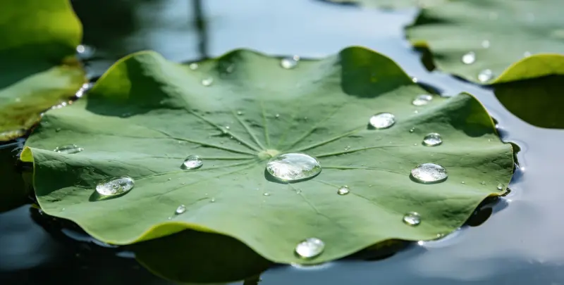 双鸭山乳腺癌21基因mRNA表达分析图片1