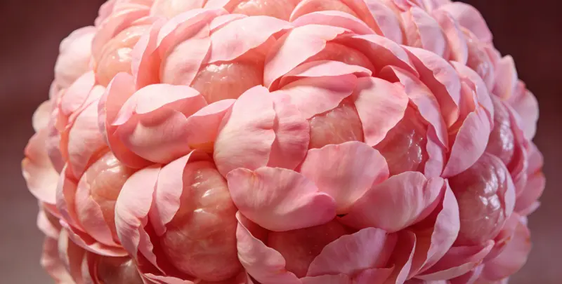 双鸭山BRCA1/2乳腺癌卵巢癌基因检测图片1